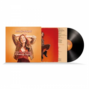 Vinyl mock up